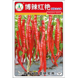 湖南兴蔬 博辣红艳种子 中熟 绿色 果直 座果性好 辣椒种子 8克装