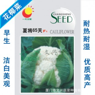 厦门文兴 夏将65天花椰菜种子 早中熟 耐热耐湿 抗病性强 植株生长强健壮旺 花椰菜种子 10克装
