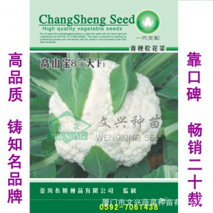 厦门文兴 高山宝85天花椰菜种子 一代杂交 中晚生 耐寒耐湿 耐温差 花椰菜种子 2000粒装