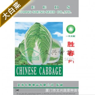 厦门文兴 胜春白菜种子 耐寒耐湿 长势强 特耐抽薹 抗软腐病 白菜种子 10克装