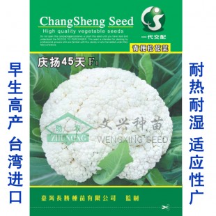 厦门文兴 庆扬45天 青梗松花菜种子 花型美观 品质超群 市场流行 花椰菜种子 10克装