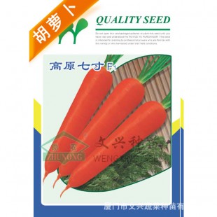 厦门文兴 高原七寸胡萝卜种子 耐寒耐热 耐抽苔 植株生长强健 适应性强 胡萝卜种子 2万粒装