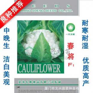 厦门文兴 春将花椰菜种子  杂交一代 耐寒耐湿 植株生长强健 高抗病 容易栽培管理 花椰菜种子 10克装