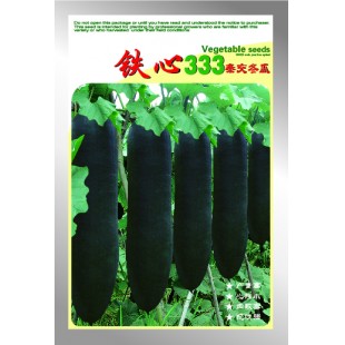 广东粤蔬 铁心333杂交冬瓜种子 广东农科院选育 细长 空腔小 直径22cm 冬瓜种子 15克装