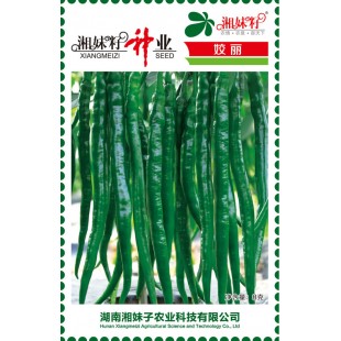湖南湘妹籽种业 姣丽辣椒种子 果实光滑顺直 皮薄 肉厚 果形整齐美观 辣椒种子 8克装