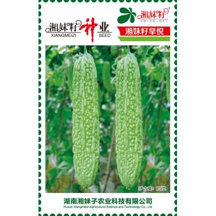 湖南湘妹籽种业 早悦苦瓜种子 肉质较脆 早熟 翠绿色 苦瓜种子 25克装