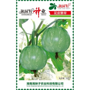 湖南湘妹籽种业 花皮嫩早南瓜种子 肉厚 早熟 高园形 耐低温 南瓜种子 10克装