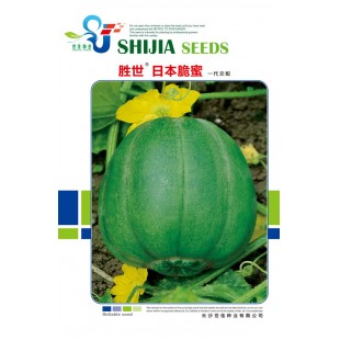 长沙世佳种业 日本脆蜜甜瓜种子 早熟 卵形 皮薄 绿色 甜瓜种子 5克装