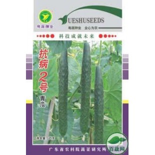 广东粤蔬 抗病2号青瓜种子 广东农科院选育 单瓜重500克 早熟 抗病好  青瓜种子 20克装