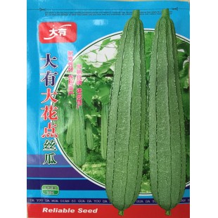 中山有记菜种 大有大花点丝瓜种子 早熟 瓜长约35-45厘米 粗约6厘米 带花点特厚肉 丝瓜种子 10克装