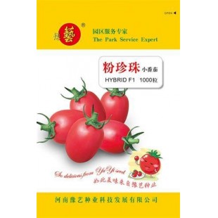 豫艺种业 粉珍珠番茄种子 无限生长型 中早熟 粉红果 椭圆形樱桃番茄 植株长势健壮 叶色绿 番茄种子 1000粒袋