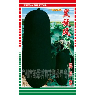 广州绿霸 黑旋风杂交冬瓜种子 长60-90公分 果实炮弹形 皮墨绿色  亩产10000公斤以上 冬瓜种子 50克装