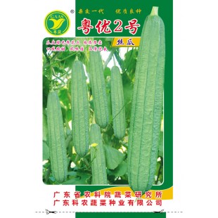 广东粤蔬 粤优2号大肉丝瓜种子 广东农科院选育 杂交优势明显 丝瓜种子 15克装