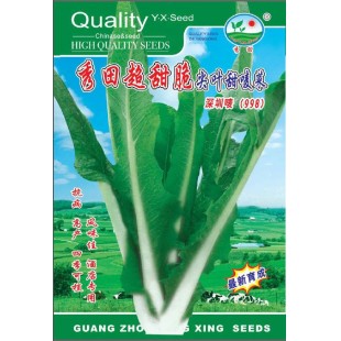 广州阳兴 秀田超甜脆尖叶甜唛菜种子 风味佳 抗病 高产 唛菜种子 2克装