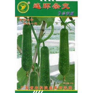 广东粤蔬 连环杂交九号节瓜 广东农科院选育 早熟 瓜形美观 瓜肉硬实 节瓜种子 15克装