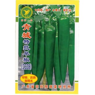 广东粤蔬 青城特抗早椒2328辣椒 广东农科院选育 极早熟 青椒种精品 辣椒种子 5克装