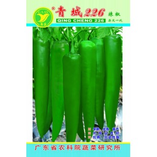 广东粤蔬 青城226辣椒 广东农科院选育 耐贮运 辣椒种子 10克装