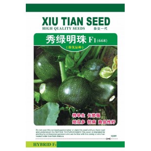 广州阳兴 秀绿明珠西葫芦 高档特色西葫芦品种 近圆球形 西葫芦种子 10克装