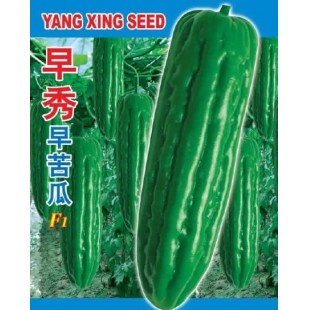 广州阳兴 早秀早苦瓜 耐寒 抗逆性强/ 果长30厘米左右 苦瓜种子 50克装