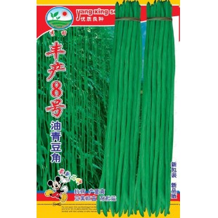 广州阳兴 丰产8号油青豆角种子 中早熟 抗病力强 豆荚油绿色 豆角种子 30克装