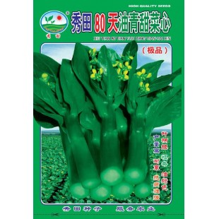 广州阳兴 秀田80天油青甜菜心种子 极品 播种至初收45-50天 甜菜心种子 30克装