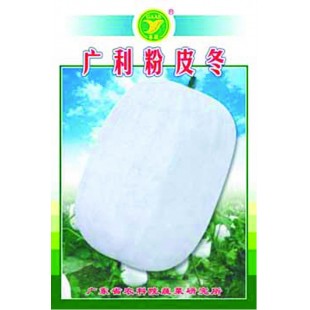 广东粤蔬 广利杂交粉皮冬瓜种子 广东农科院选育 瓜长35厘米 耐贮性好 冬瓜种子 20克/包