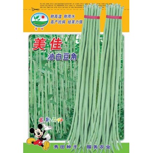 广州阳兴 美佳油白豆角种子 耐高温 耐雨水 高产抗病 豆角种子 200克装