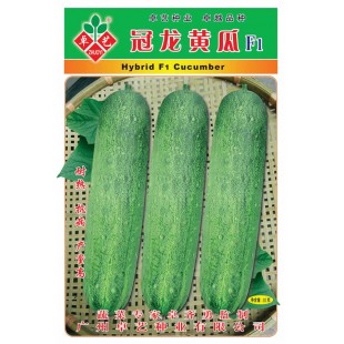 广州卓艺 冠龙黄瓜种子 农科院老专家选育 耐热 抗病 极理想的大吊瓜品种 黄瓜种子 10克装