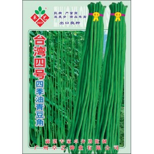 广州卓艺 台湾四号四季油青豆角种子 台湾引进 荚色油绿 早中熟 青豆角种子 400克装