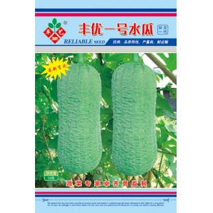 广州卓艺 丰优一号水瓜种子 品质特优 瓜长18-20厘米 水瓜种子 10克装