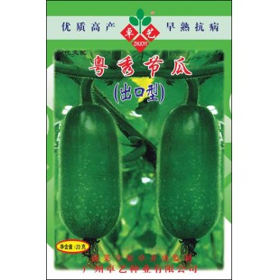 广州卓艺 粤秀节瓜种子 农科院老专家选育 早熟抗病 瓜长15-17厘米 出口型 节瓜种子 20克装