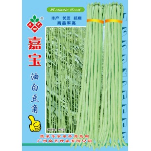 广州卓艺 嘉宝油白豆角种子 抗病 商品率高 高产 白豆角种子 400克装