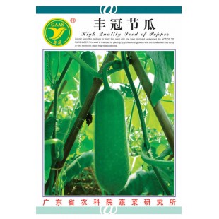 广东粤蔬 丰冠一号节瓜种子 广东农科院选育 亩产4000kg 1-8月适播 节瓜种子 20克装