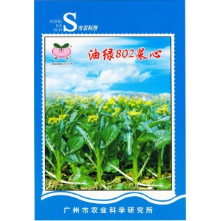 广州乾农 菜科所 穗农油绿802菜心种子 基叶近圆形 油绿有光泽 商品性优良 菜心种子 200克装