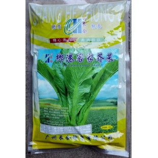 广州长和 乡港客家芥菜种子 早熟 无苦味 纤维少 芥菜种子 500克装