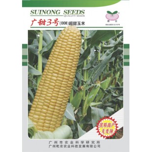 广州乾农 菜科所选育 穗农广甜3号超甜玉米种子 市农科院选育 籽粒大 特耐热耐湿 玉米种子 200克