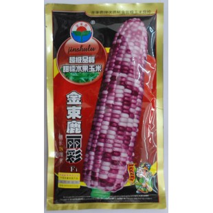 河北金束鹿 丽彩玉米种子 甜糯水果玉米 早熟 穗长25厘米 玉米种子 200克装