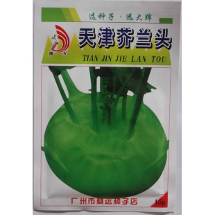 广州蔡远 天津芥兰头种子 中熟品种 不易抽苔 球茎扁圆形 亩产2000公斤 芥兰头种子 15克装