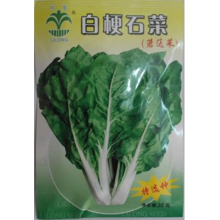 江门利隆种苗 白梗石菜种子 又名莙荙菜 叶圆形肥厚 深绿色 家庭必备蔬菜 白菜种子 20克装