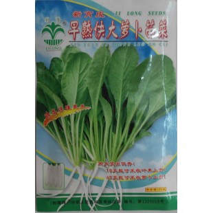 江门利隆种苗 早熟快大萝卜苗菜种子 18天就可采收上市 45天就可采收萝卜 萝卜种子 30克装