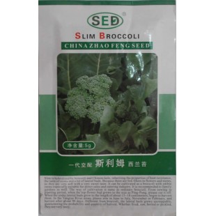 浙江肇丰种苗 斯利姆西兰苔种子 绿花菜和芥蓝杂交而成 炒 生吃 水煮还是腌制都很美味 西兰花种子 5克装