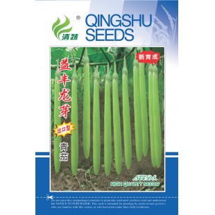 清远兴华 益丰龙芽青茄种子 中早熟品种 平均单果重150g左右 高产量可达6000公斤 青茄种子 5克装
