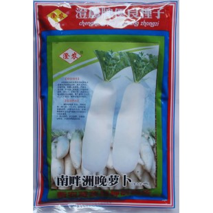 汕头澄农 南畔洲晚萝卜种子 抗病性强 耐寒 肉质雪白 产量高 萝卜种子 400克装