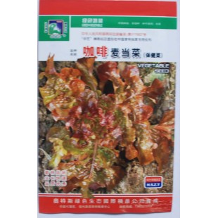 咖啡麦当菜保健菜种子 紫绿色 无纤维 生熟食均可 保健菜种子 5克装
