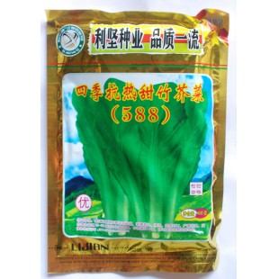 佛山利坚  四季抗热甜竹芥菜588种子 苔梗宽大 肉厚 可做芥菜仔上市 芥菜种子 400克装