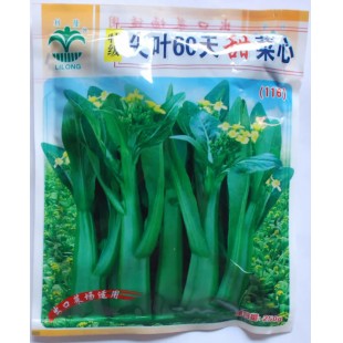 江门利隆种苗 特级尖叶60天甜菜心种子 菜场专用 抗性强 味甜 特别适合出口菜场用 菜心种子 250克装