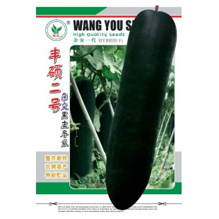 广州旺优 丰硕二号杂交黑皮冬瓜种子 高抗枯萎病炭疽病 瓜长70-100厘米 冬瓜种子 20克装