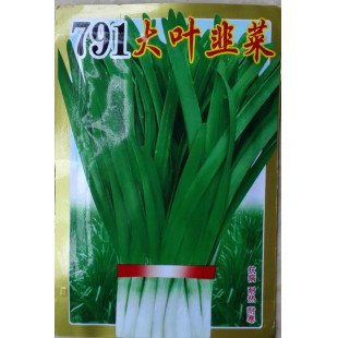 广西冯子龙 791大叶韭菜种子 叶色深绿 耐热耐寒 口感好 韭菜种子 20克装