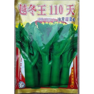 佛山利坚 越冬王110天油青甜菜心种子 播种至初收50-55天 抽苔整齐 菜心种子 400克装