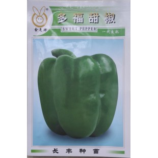 福建长丰 金兔牌多福甜椒种子 抗性强 可华南地区露天栽培 辣椒种子 1000粒装